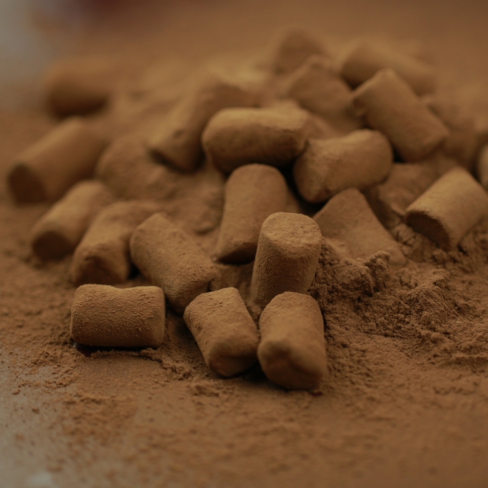 �����`���R